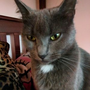 Meet your Posher, Mariah